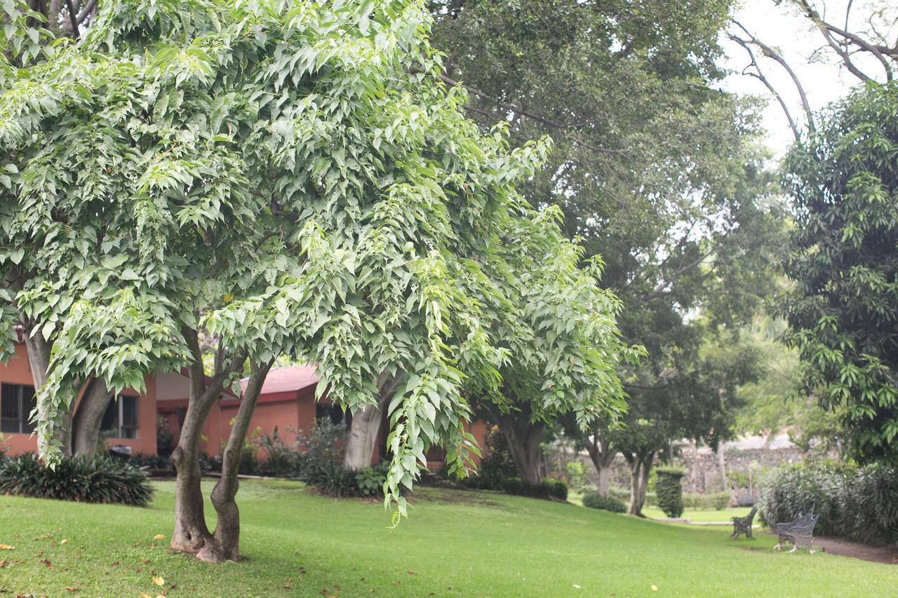 Hotel Jacarandas Cuernavaca Exterior foto